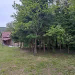 Orsegi Kucko