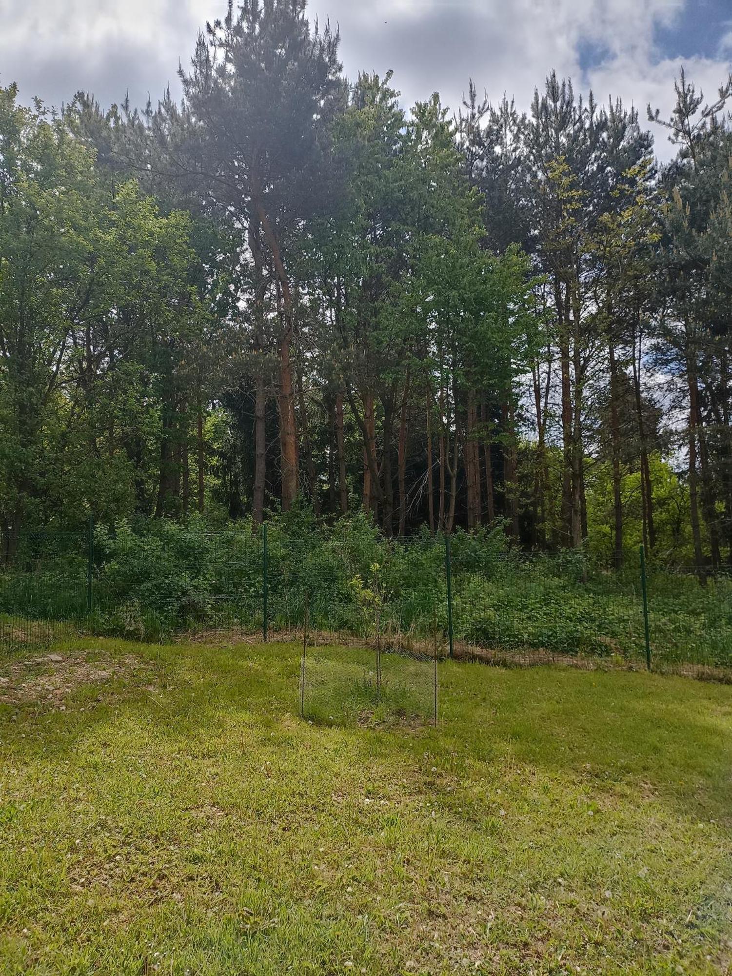 Orsegi Kucko Appartement